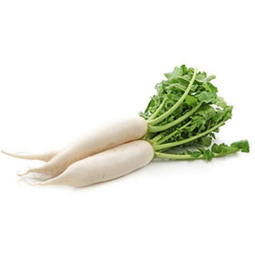 FRESH RADISH (MOLI) 1KG