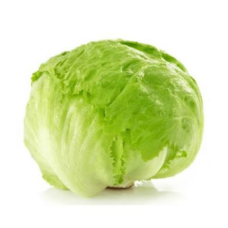 FRESH LETTUCE SALAD ICE BARG