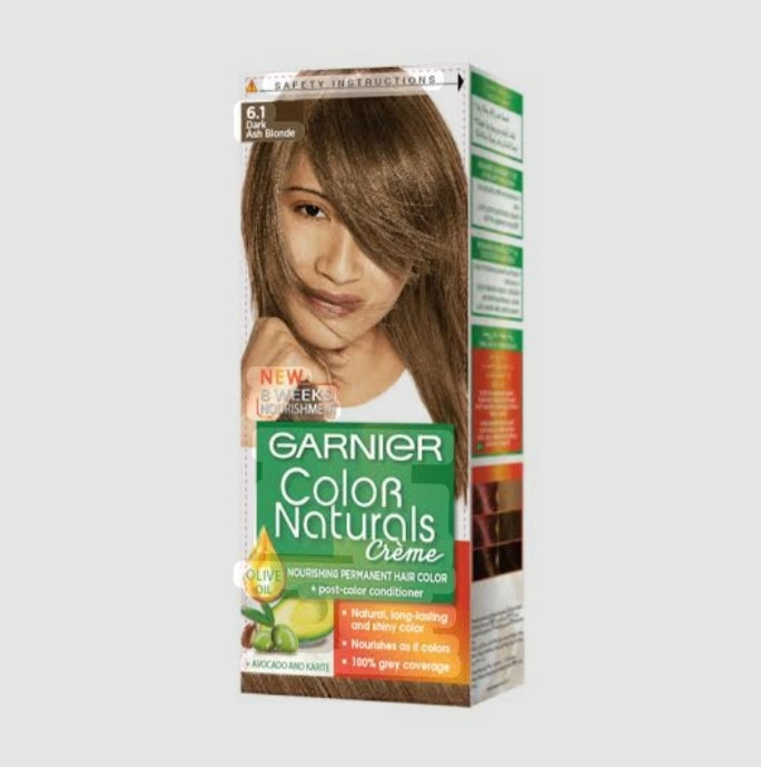 GARNIER HAIR COLAR (6.1)