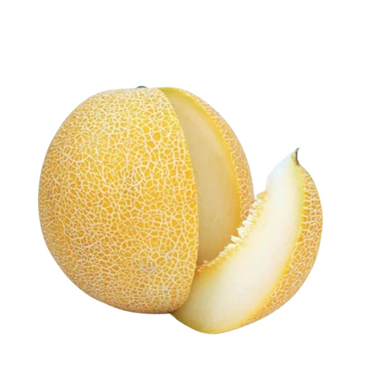 FRESH CANTALOUPE MELON / GARMA(1kg)