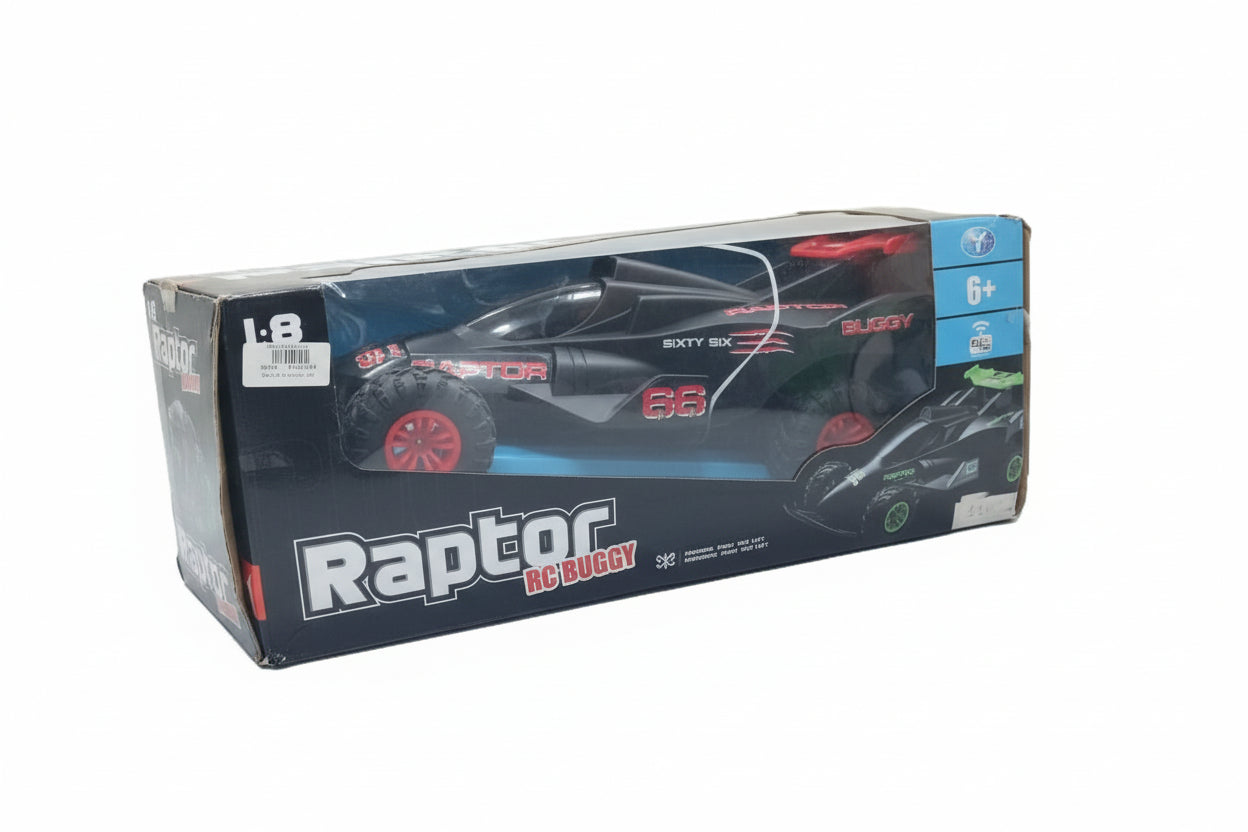 RAPTOR RC BUGGY CAR