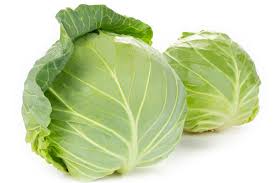 FRESH CABBAGE