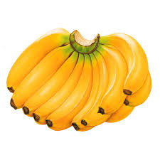 FRESH BANANA (1dozen)