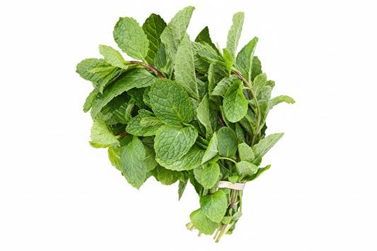 FRESH MINT
